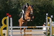10_1_IMG_0017