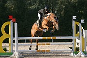 10_1_IMG_0033
