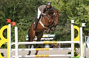13_IMG_0004