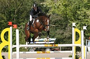 13_IMG_0005