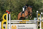 15_IMG_0003