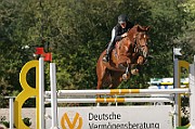 15_IMG_0008