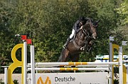 15_IMG_0010