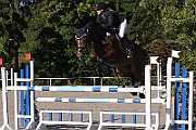 IMG_0010