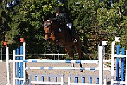 IMG_0034