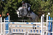 IMG_0049
