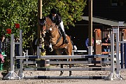 17_IMG_0005