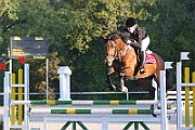 11_1_IMG_0002