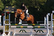 11_1_IMG_0005
