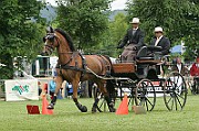 IMG_0011