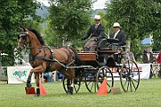 IMG_0012