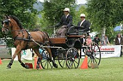 IMG_0013