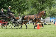 IMG_0015