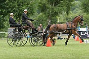 IMG_0017