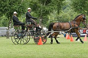 IMG_0018