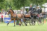 IMG_0020