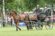 IMG_0021