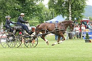 IMG_0026