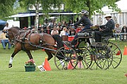 03_IMG_0004