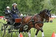 03_IMG_0005