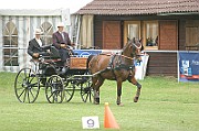 03_IMG_0006