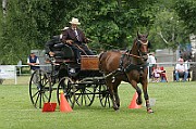 03_IMG_0008