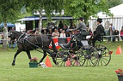 03_IMG_0040