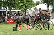 03_IMG_0050
