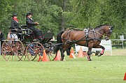 03_IMG_0066