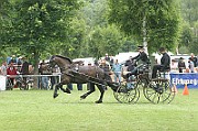03_IMG_0077