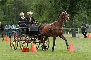03_IMG_0081