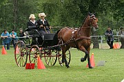 03_IMG_0082