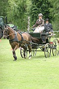 03_IMG_0132