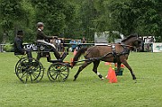 03_IMG_0134