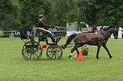 03_IMG_0135
