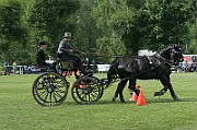 07_IMG_0005