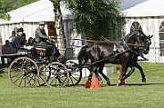 07_IMG_0008