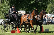 07_IMG_0012