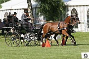07_IMG_0016