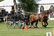 07_IMG_0017
