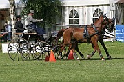 07_IMG_0028