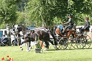 07_IMG_0036