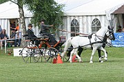 07_IMG_0041