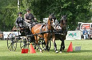 07_IMG_0046