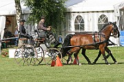07_IMG_0048