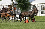 07_IMG_0061