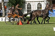 07_IMG_0064