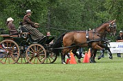 07_IMG_0081
