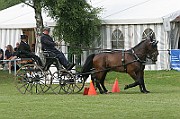07_IMG_0090