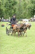 11_IMG_0003